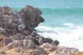 /album/galeria-de-imagens-wallpapers-/img-3778-jpg/